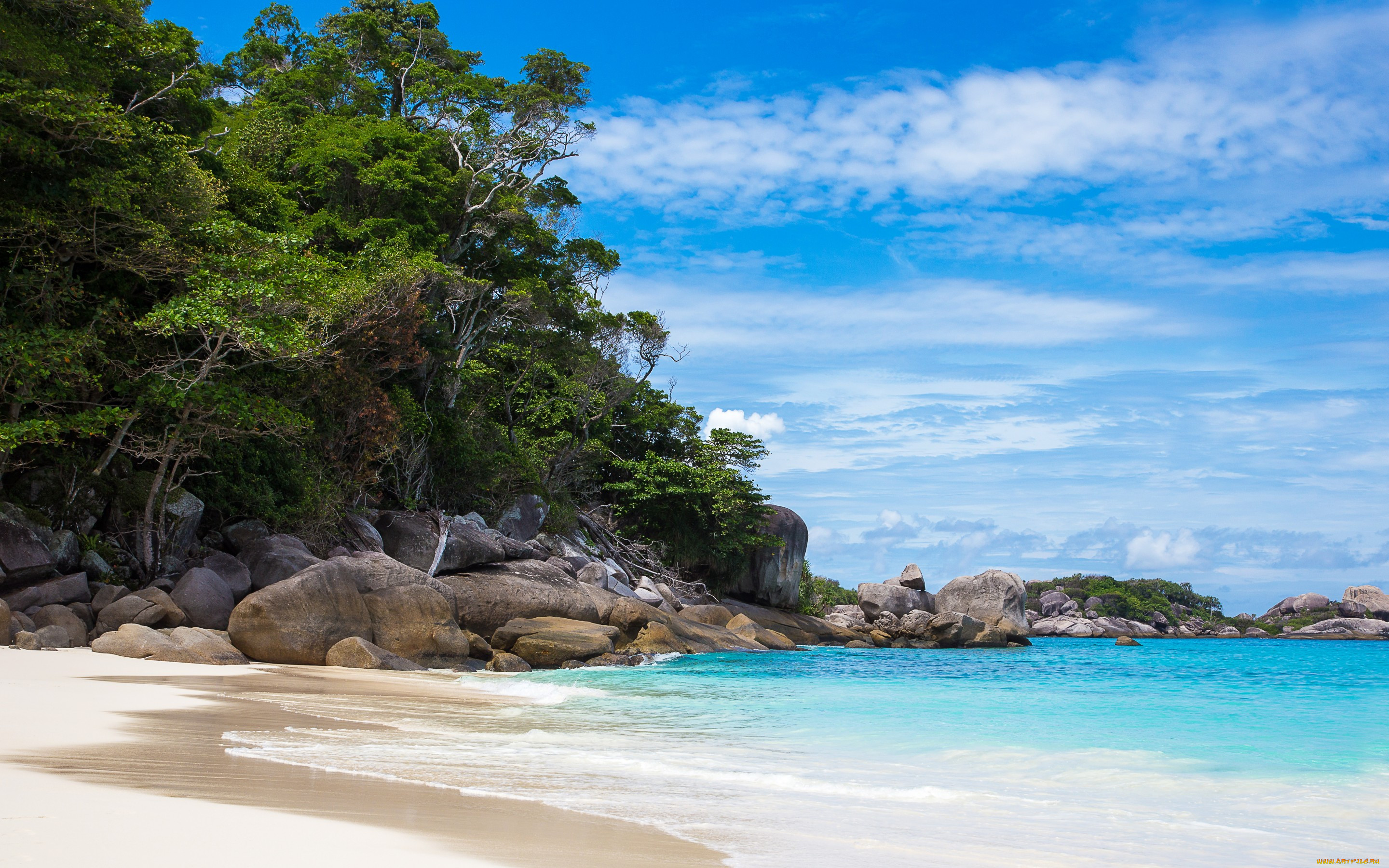 , , palms, sand, tropical, , , , , paradise, shore, sea, beach, summer, , 